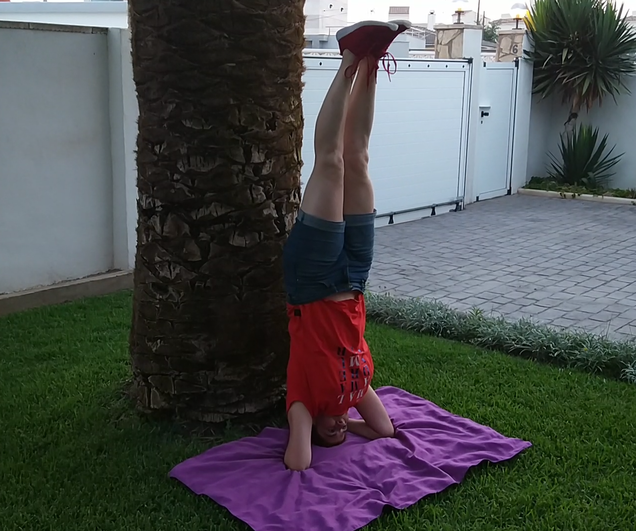 Sirsasana